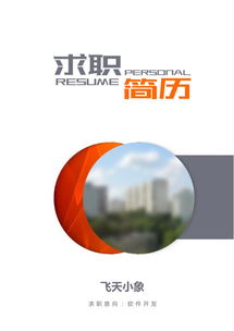 計(jì)算機(jī)軟件開(kāi)發(fā)簡(jiǎn)歷模板與撰寫(xiě)指南